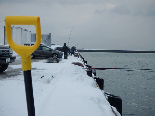 あまりの無反応にギブ