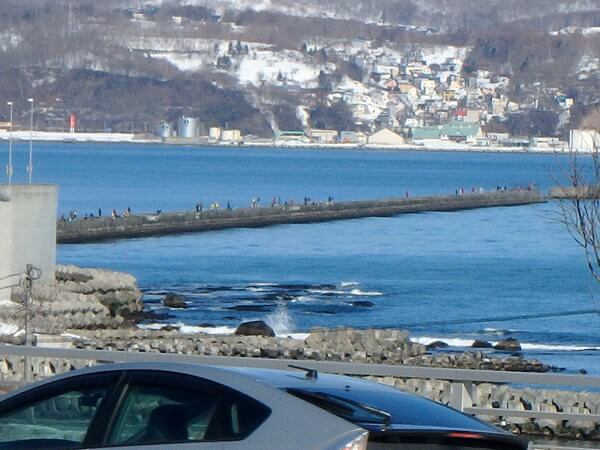 春の海の釣り日和
