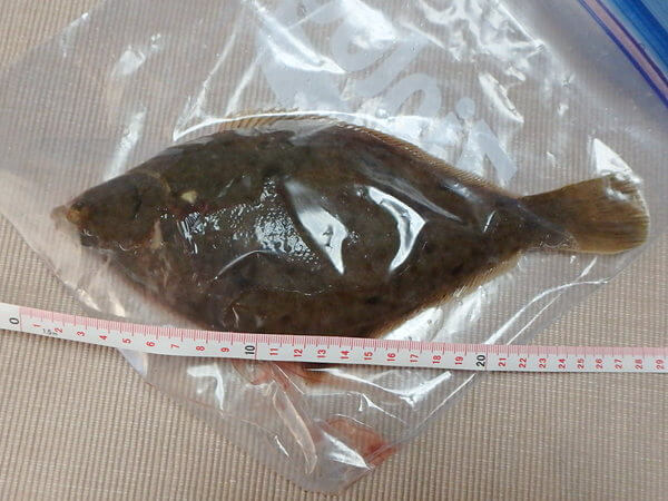 28cm