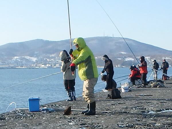 釣れちゃってる！