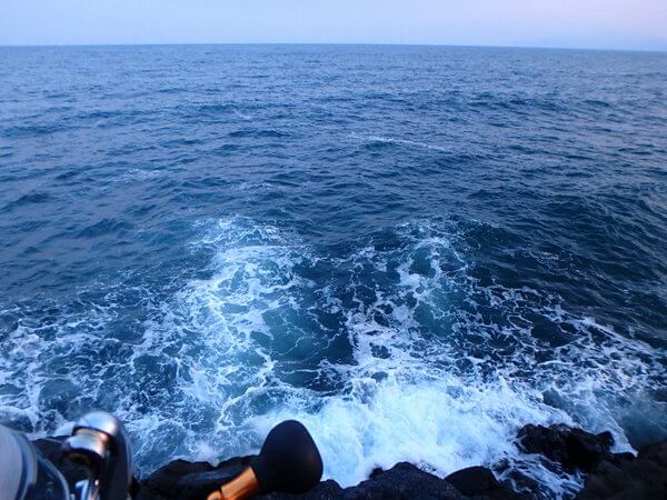 足場高めで釣り可能