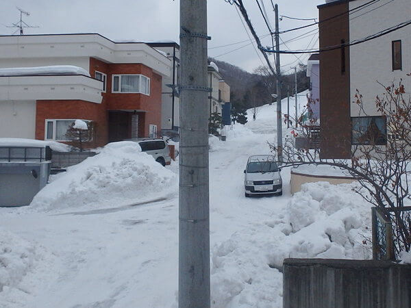 裏山から、熱視線・・