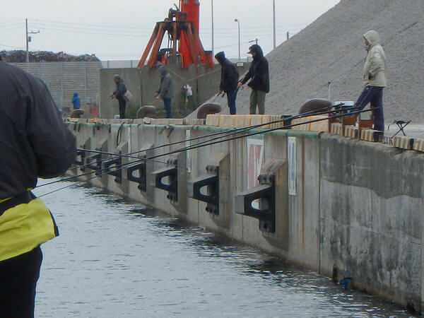 釣れトラン