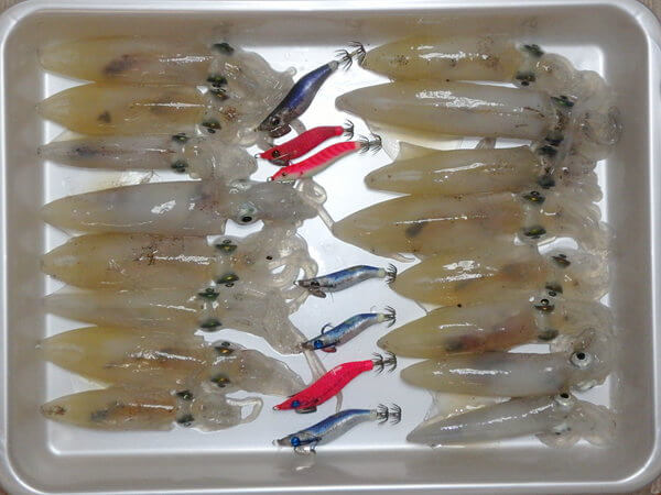 2色カラーチェンジで、何とか。