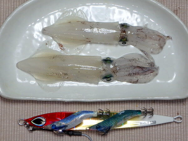 石狩マメも、もう終わりか・・