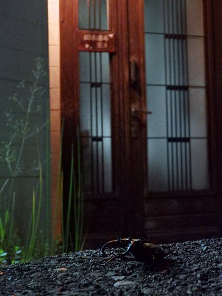 また来てねッ!