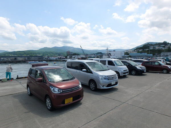 イワシ狙いでびっしり