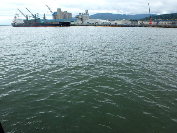 第一は濁り強め