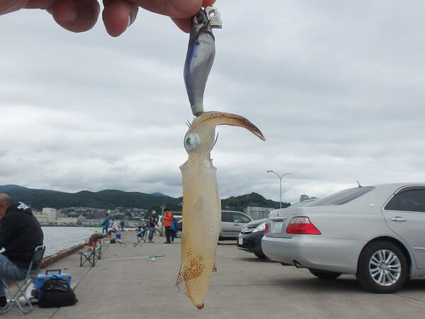 ラトルで乗った！