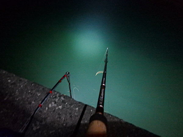 港内側にライトを移動