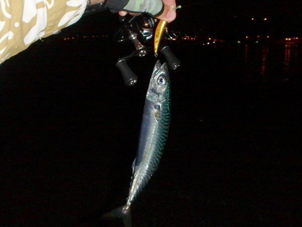 走ってジャンプして、楽しい！