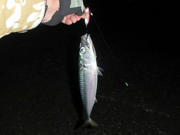 スプーンも落ちるけど来る