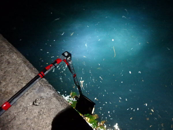夜の積丹は小サバでにぎやか
