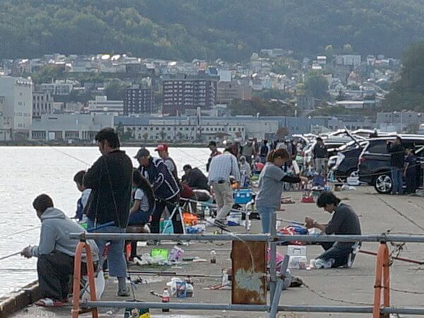 サビキが多い