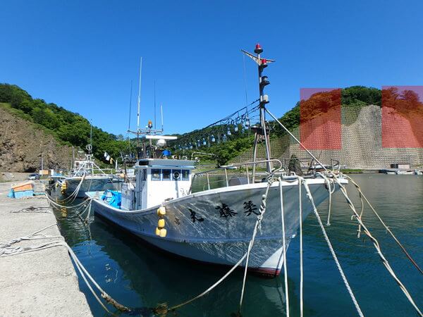 赤い網掛け部分を較べると・・