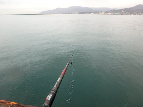 釣りやすいけど反応ナシ