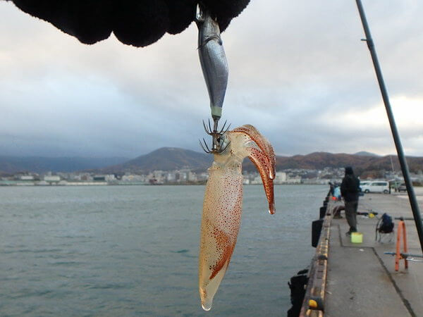 ラトルでポン！