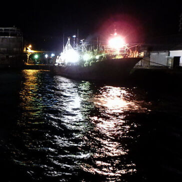 [港内も荒れ模様]