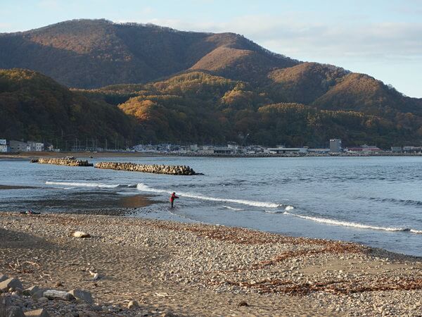 淋しい河口