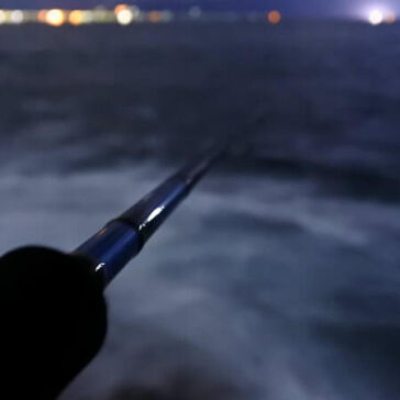 [磯イカアタック]