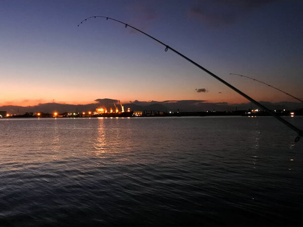 さて、夕マズメ