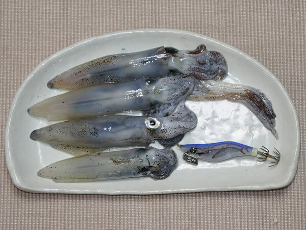 2杯といただきもの2杯