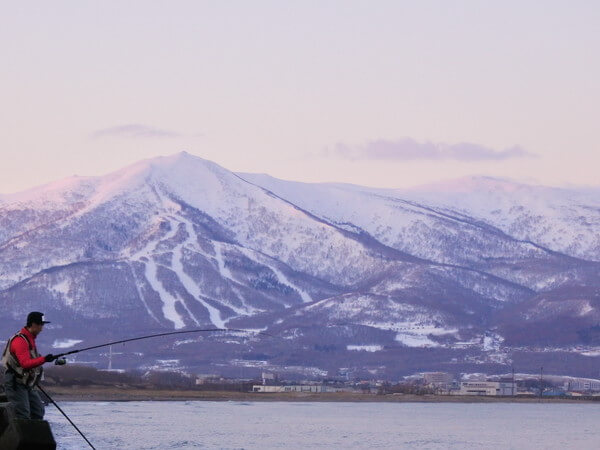 寄せて取り込み・・