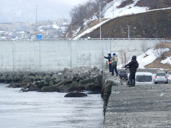 釣れてる気配ナシ