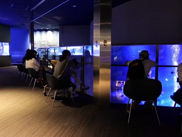 すみだ水族館