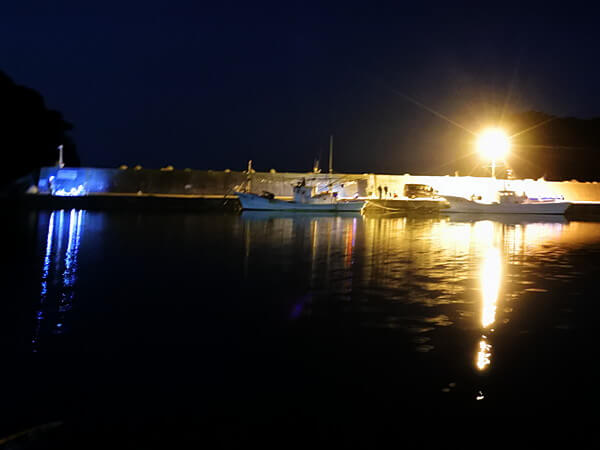 夜釣りの若者たち