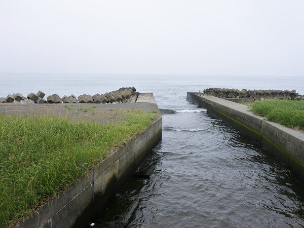 アヨロ川河口の偵察