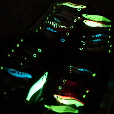 [夜光エギ]