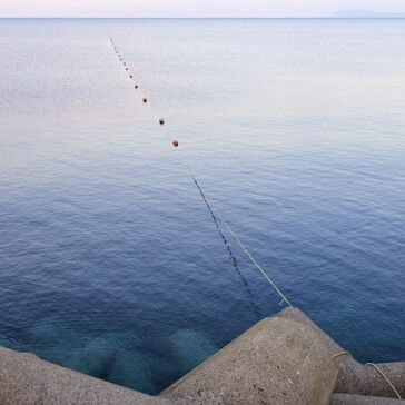 [8月末のサケ準備]