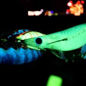 [night glow]