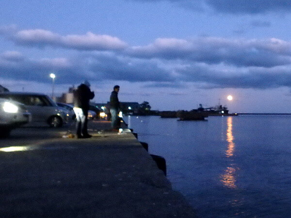 満月が上がってきた