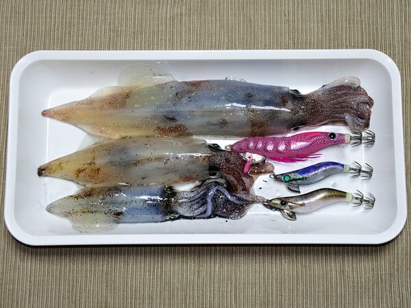 デカヤリは142g