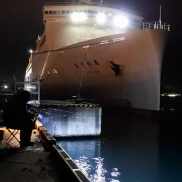 [フェリーの横でマメイカ釣り]