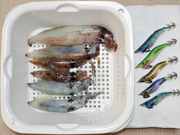 積丹ヤリ、イマイチだった・・