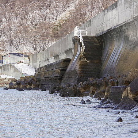 [トマソンの無用階段]