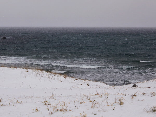 風、波、雪で撤収