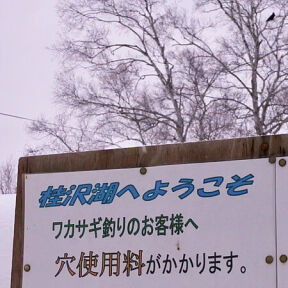 [ana使用料]