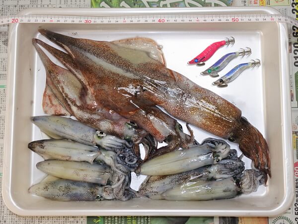 デカヤリ混じって満足