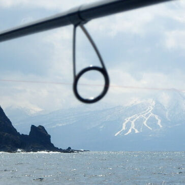 [・・釣れないなぁ]