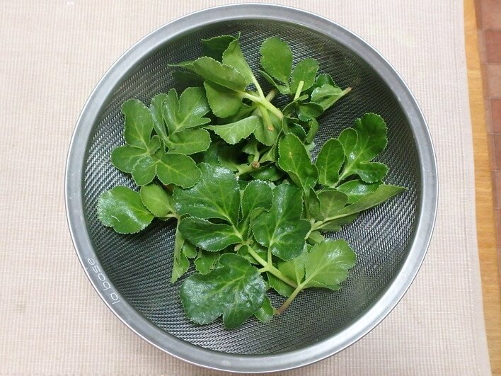 味見用、これで十分