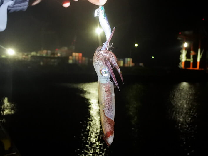 魚の下から引っこ抜き