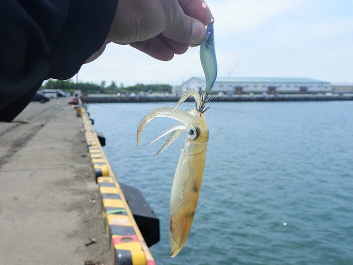 最初のポイントに戻ってみた