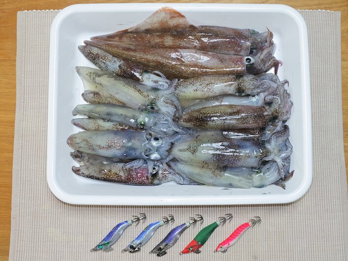 積丹の釣果みたい