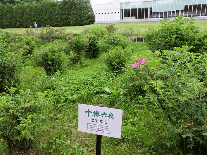 六花の森