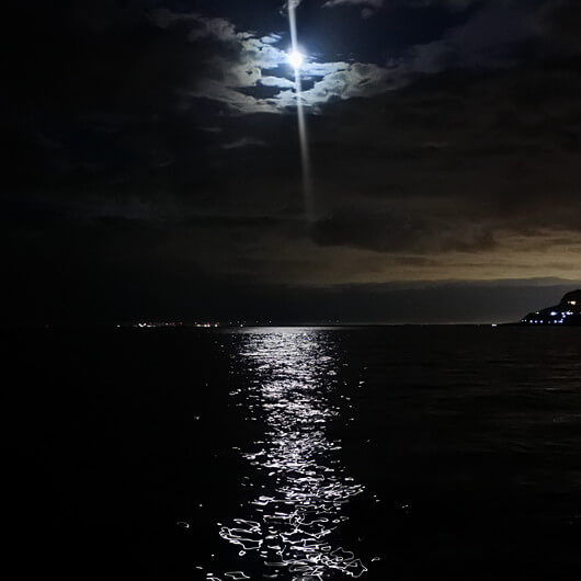 月夜のイカ狙い