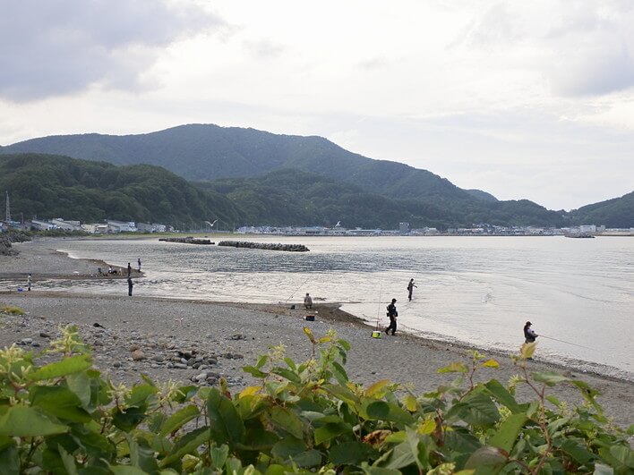 某河口のサケ狙い